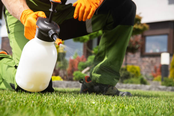 Trusted Pompton Plains, NJ Pest Control Experts