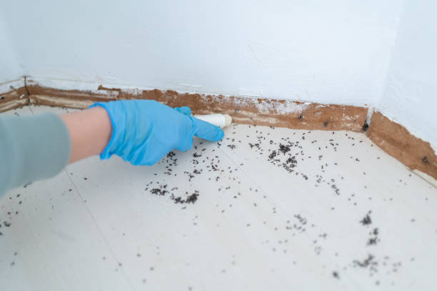 Best Pest Removal Services  in Pompton Plains, NJ